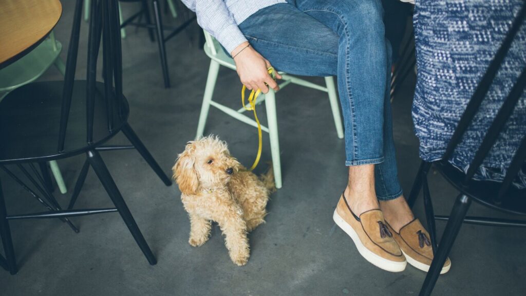 pet friendly restaurant
