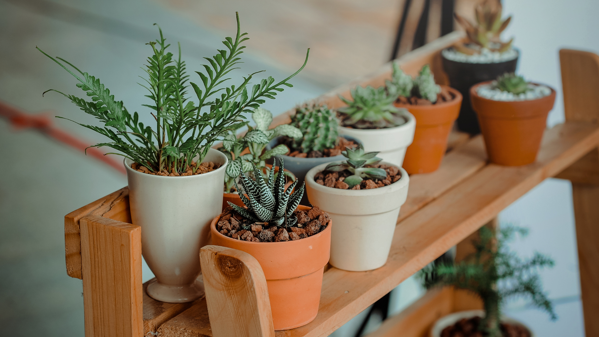 restaurant design, budget friendly, decor, tips