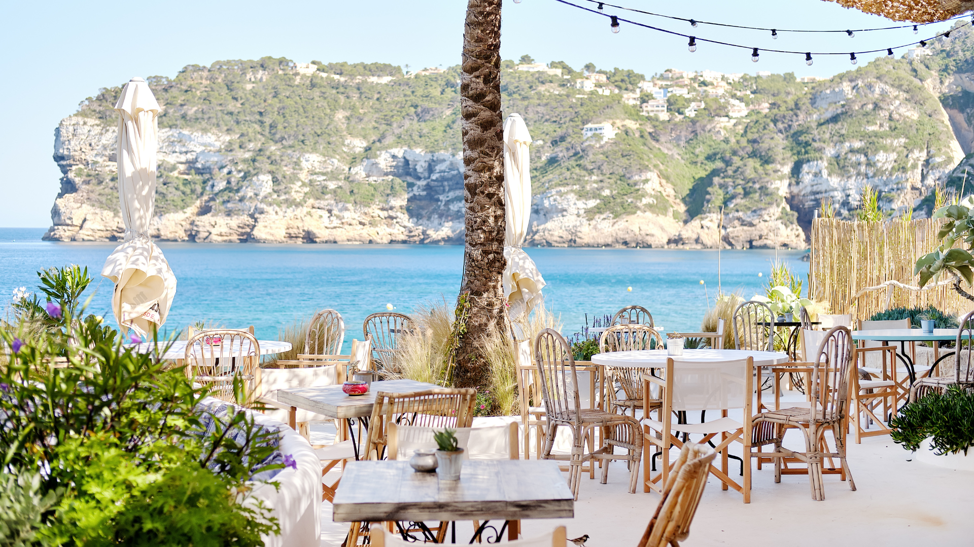 furniture type, restaurants, aesthetic, themes