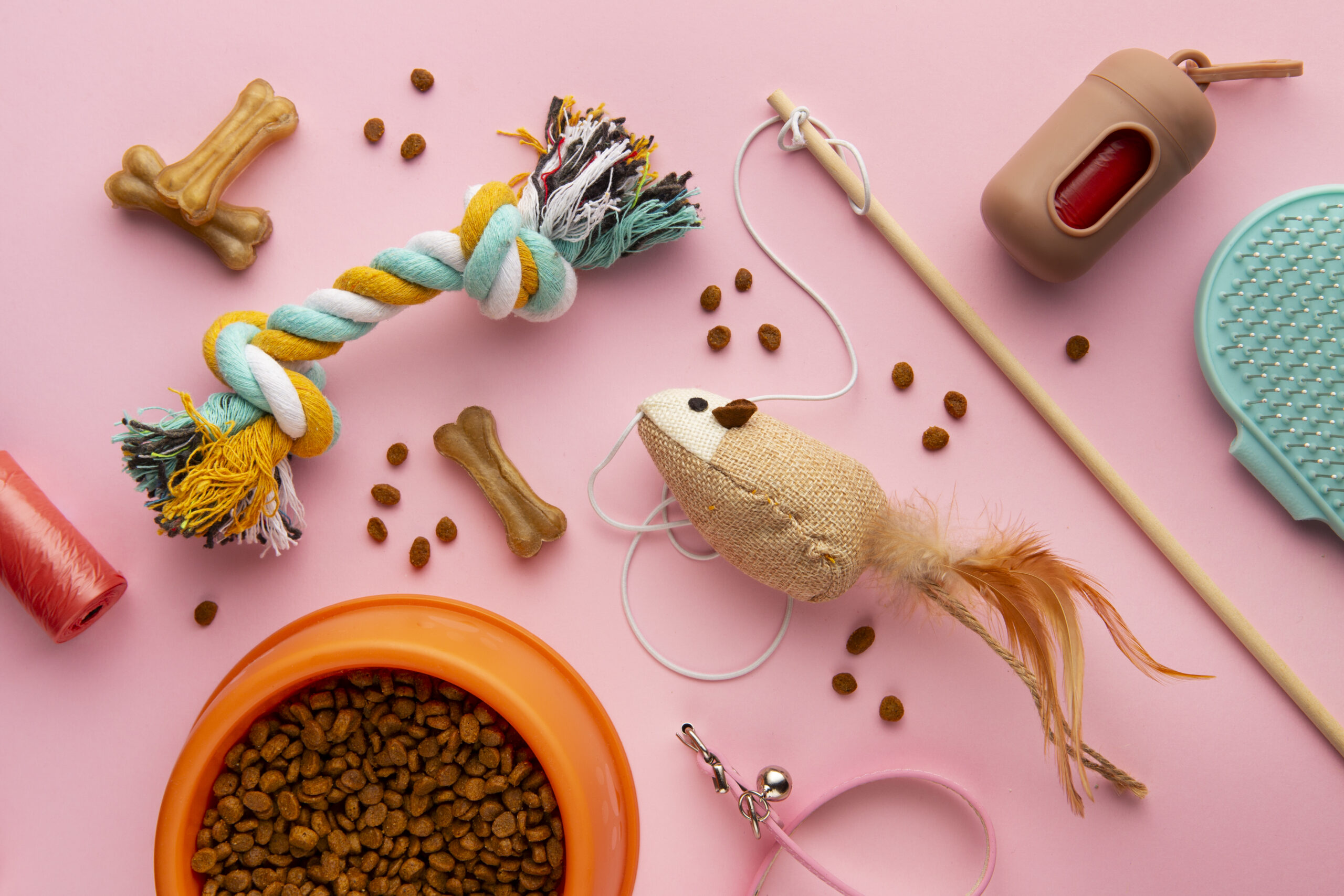 Pet Cafe, Essentials, Animals, Design, Decor, Customers