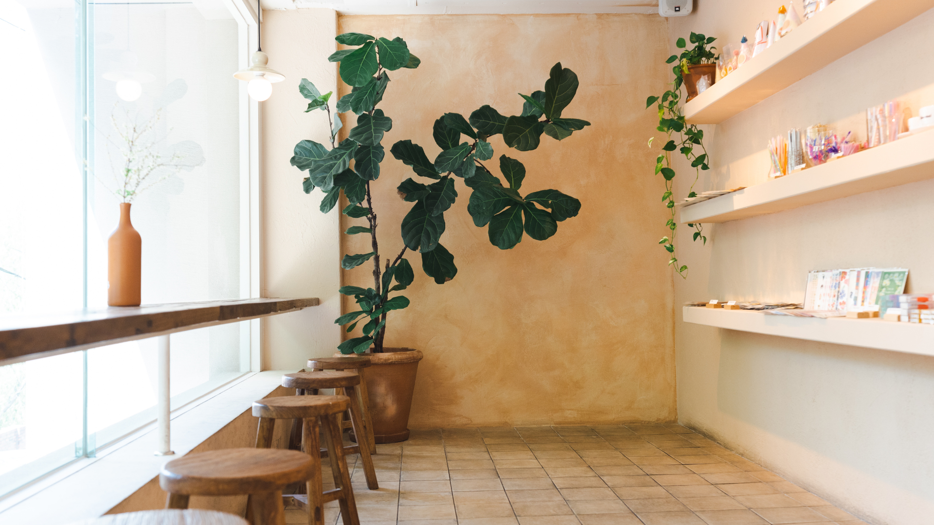 trending cafeteria concepts, decor, design, interior